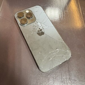 iPhone14Pro　バックパネル