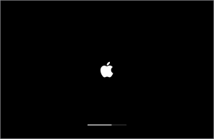 macos-startup-apple-logo-progress-bar